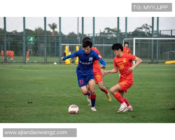 足球小将欧洲杯全新冒险52集全剧情回顾与精彩瞬间分享