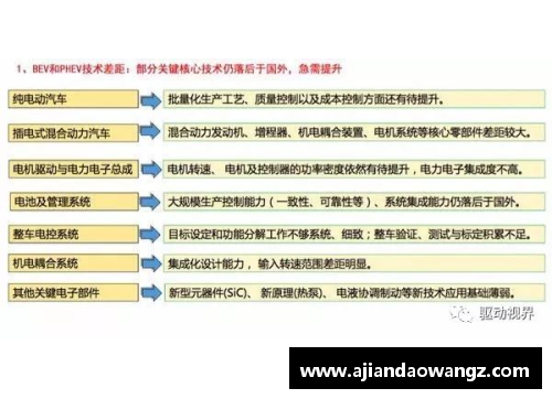 体育明星代言产品的现状与趋势分析国内外对比研究